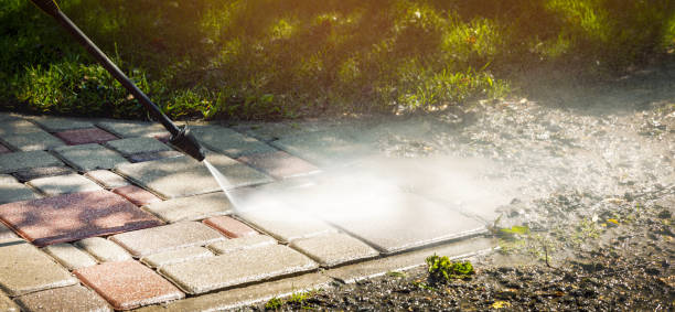 Best Driveway Pressure Washing  in Amboy, IL